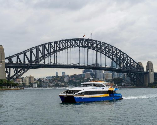 pexels-railgunbreaker-31981246