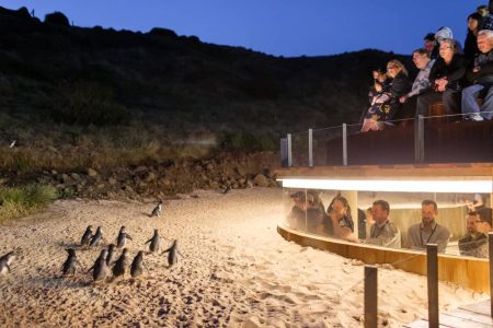plus-viewing-platform-price-1-day-tour-from-melbourne-phillip-island